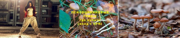 дживик Мегион
