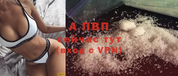дживик Мегион