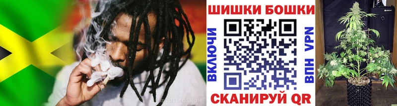 блэк спрут зеркало  Жуков  Конопля индика 